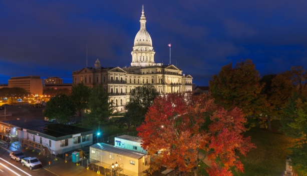 Michigan Annual Report Deadlines & Penalties: LLCs & Corporations Explained