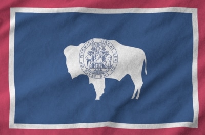 Starting a Business in Wyoming: LLC vs Corporation – Your Complete Guide