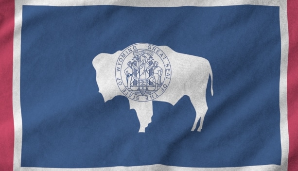 Starting a Business in Wyoming: LLC vs Corporation – Your Complete Guide