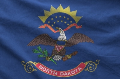 Annual Reporting in North Dakota: Deadlines, Requirements, and How FileForms Makes Compliance Simple