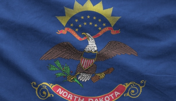 Annual Reporting in North Dakota: Deadlines, Requirements, and How FileForms Makes Compliance Simple